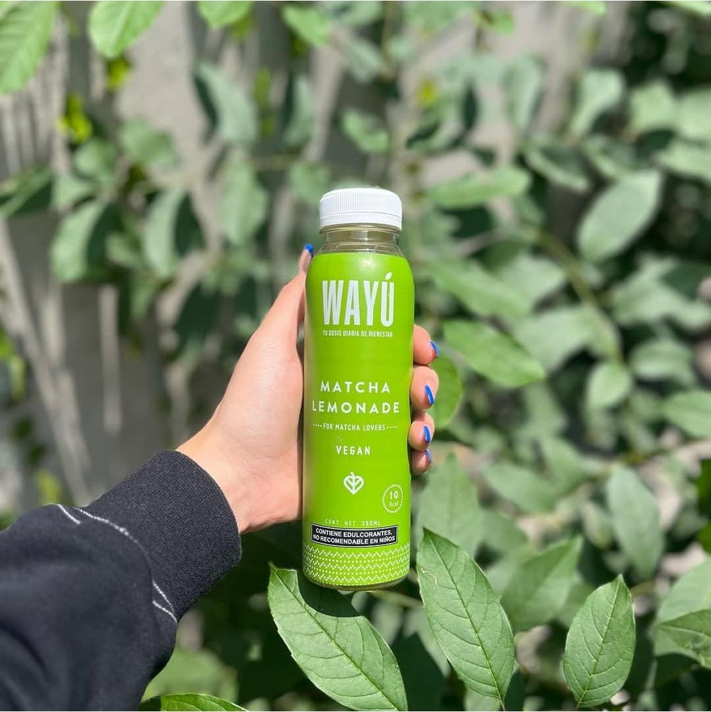 Wayú - Matcha Lemonade - Pack c/10pzas