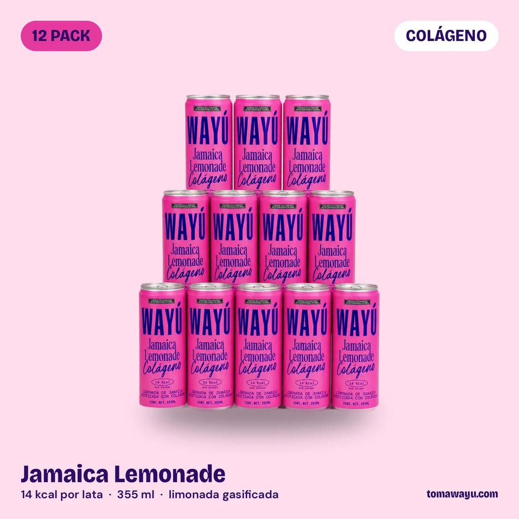 Wayú - Flor de Jamaica Collagen Lemonade Gasificada